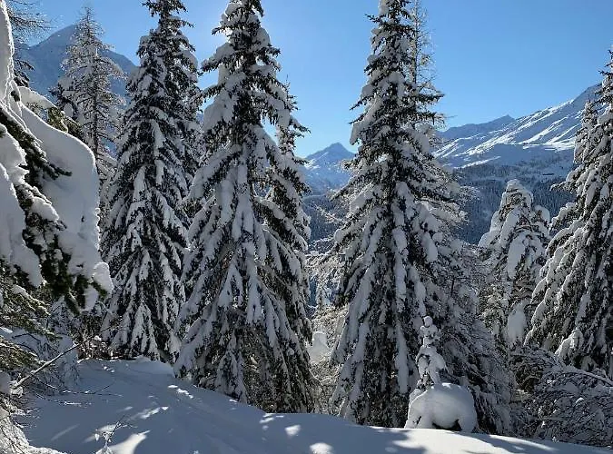 Apartment Scheiber *