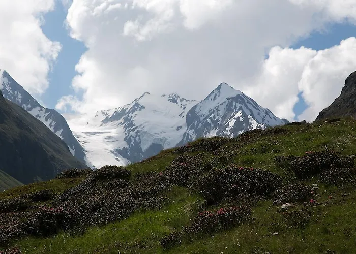 Apartment Scheiber *