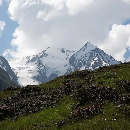 Apartment Scheiber *