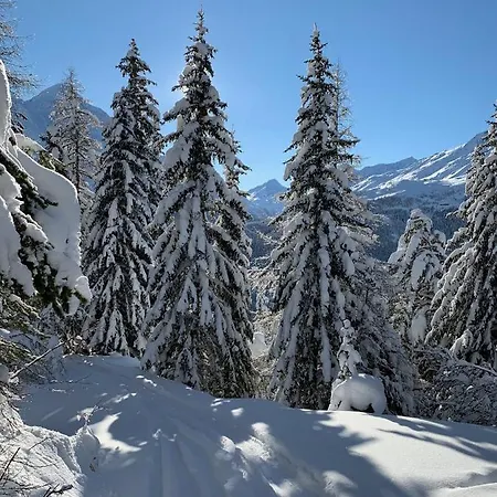 公寓 沙伊贝尔公寓 *