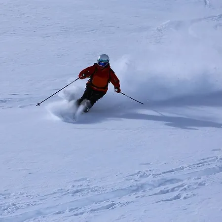 沙伊贝尔公寓 公寓 *